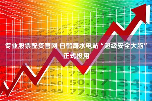 专业股票配资官网 白鹤滩水电站“超级安全大脑”正式投用