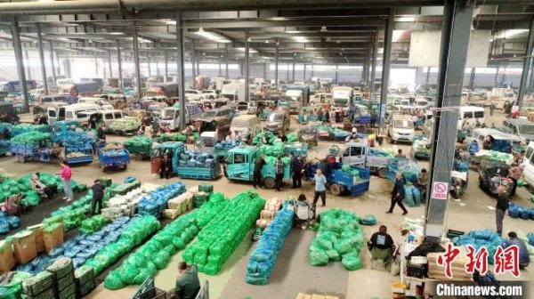 前十大证券公司排名 “北菜南运”重要中转枢纽&#32;辽宁新民市打造东北最大产地蔬菜交易中心