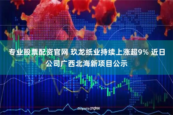 专业股票配资官网 玖龙纸业持续上涨超9% 近日公司广西北海新项目公示